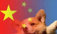 ͷ񽥱̳
