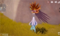޶ֲλý
