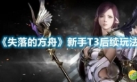 ʧķT3淨