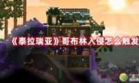 ̩Ǹ粼ִ