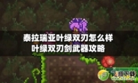̩Ҷ˫н