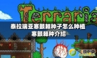 ̩Ǻֽ