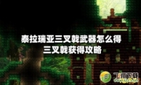 ̩ꪻù
