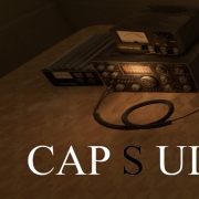 Capsule