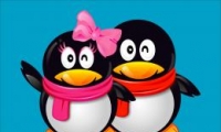 qq6.8ʽٷصַ