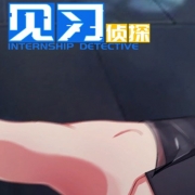 INTERNSHIP DETECTIVE