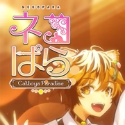 Catboys Paradise