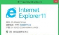 win8.1ϵͳIE11ô