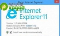 win8.1ie11޸
