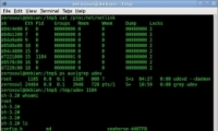 linux shellif elseԼڡСڡ߼ʽ
