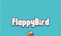 Flappy Bird߷Ƶ