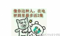 ڵӾʲô