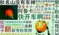 ˾