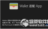 apple pay12306Ʊ̳