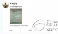 apple pay6α취