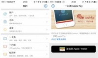 apple pay̳