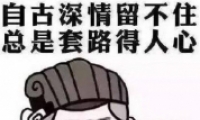 ·Ҫũʲô˼