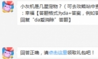 һǼǳ 찮1022ÿһ