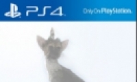 ػߡIGN 7 Ψͷ