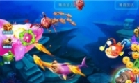 ˿ôʹ ˿ʹʱ