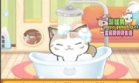 ȫè淨