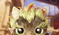 ȷ桷Ӣè° ȷӢèʲô