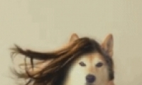 lumyerô lumyerôȦ