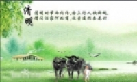 ڵ뷢չʷ ڵϰ׽