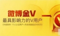 ΢V ΢Vʲô