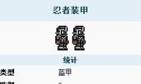 ̩װô
