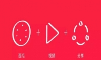 Ƶ¼ϸ̳