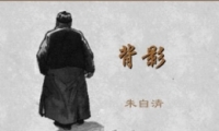 򼸸ӲҪ߶ʲô˼ 򼸸ռұʲô