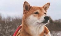 ʲôȫ