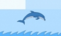 ǡ29ͨع