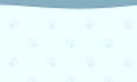 èèε11ͨع