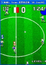 Tecmo籭96 