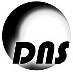 DNS测试工具 V1.0