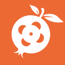 ʯ΢Ӱ V1.0.31 ԰