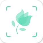 形色 V3.4 