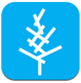 高木学习 V2.3.4 安卓版