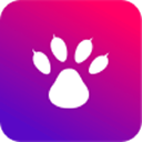 猫熊交友 V1.0.14 安卓版