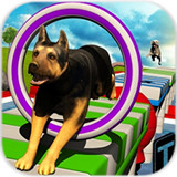 特技狗狗 V1.3 安卓版