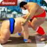 相扑格斗 V1.5 安卓版