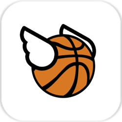 飞翔的扣篮 V1.0 苹果版