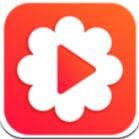 花样视频 V1.1.1 安卓版