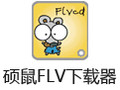 硕鼠FLV视频下载器 V0.4.8.1 PC版