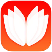 西语背单词 V2.1.1 安卓版