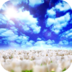 蓝天白云视频动态壁纸 V1.2.5 安卓版