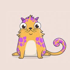 以太猫 V1.0 安卓版