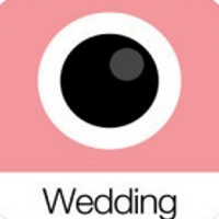 Analog Wedding V1.0 安卓版